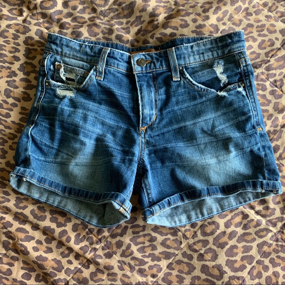 Joe’s Collectors Edition Shorts